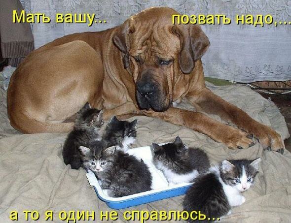 99cbe9d8881a822a3622b5dab66-prev.jpg